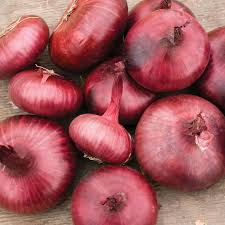 Red Cipollini Onion Seeds - Non-GMO Heirloom, Flat-Shaped, Sweet Flavor, Allium cepa, USA Grown, Perfect for Roasting & Pickling