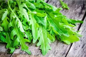 Roquette Arugula Seeds - Heirloom, Non-GMO, Fast-Growing, Peppery & Nutty Flavors, Eruca Sativa, Salad & Microgreens Seeds