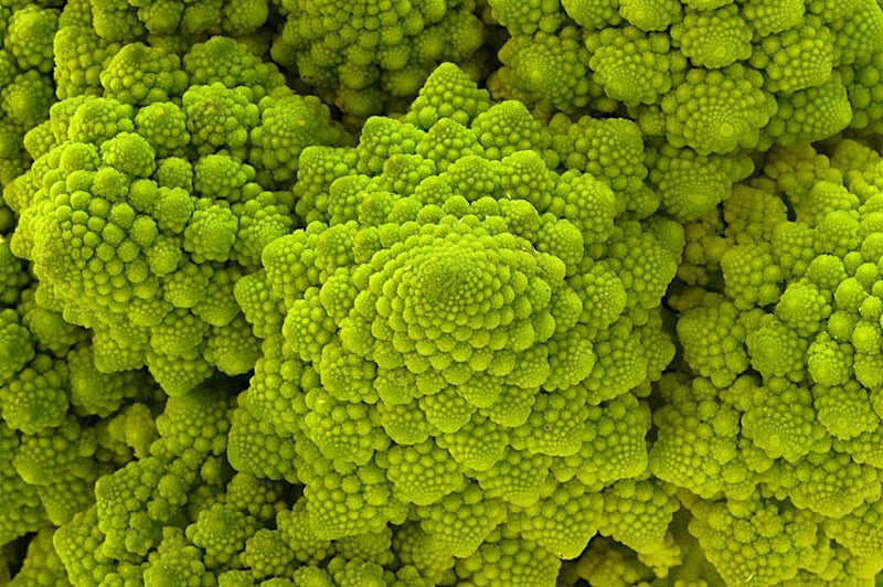 Romanesco Broccoli Seeds – Non-GMO Heirloom, Fractal Shape, Brassica oleracea var. botrytis, Cool-Season Vegetable, USA Seller
