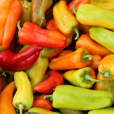 Cubanelle Pepper Seeds | Heirloom Sweet Frying Peppers | Non-GMO | Capsicum annuum | Zones 4-10