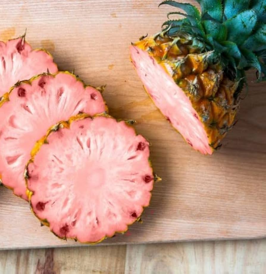Pinkglow Pineapple Seeds - 15 Rare Tropical Seeds for Home Garden, Container Growing, Pink Flesh, Ananas comosus