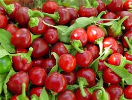 Sweet Red Cherry Pepper Seeds, Heirloom, Non-GMO, Mild Flavor, High Yield, Compact Growth, Capsicum annuum