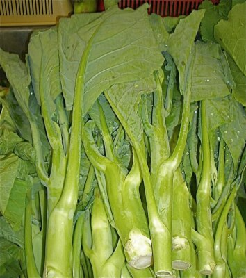 Chinese Broccoli Kailaan Seeds 500mg Open Pollinated Asian Green Heirloom Non-GMO for Stir-Fries & Garden Veggies