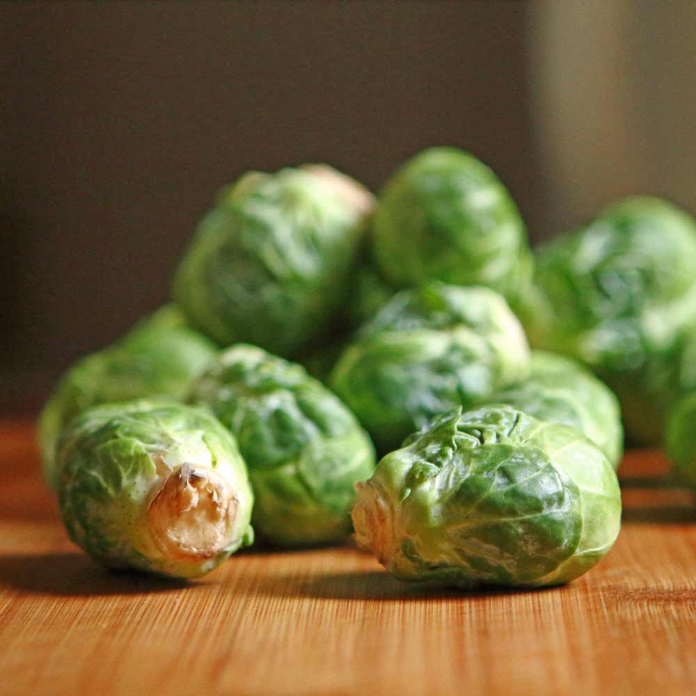 250 Seeds Catskill Brussel Sprouts Seeds | Brassica oleracea Heirloom Vegetable for Gardening & Harvest