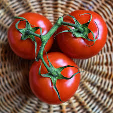Tomato Seeds Floradel Heirloom Large Red Crack-Resistant High Yield for Garden & Containers