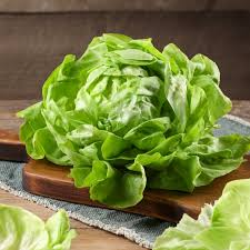 Summer Bibb Lettuce Seeds – Heirloom, Non-GMO, Heat-Tolerant, Tender & Sweet, Lactuca sativa, 1000 Seeds