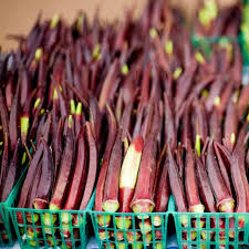 Okra Seeds Red Burgundy 1g Heirloom Non-GMO Heat Tolerant Abelmoschus esculentus Vegetables