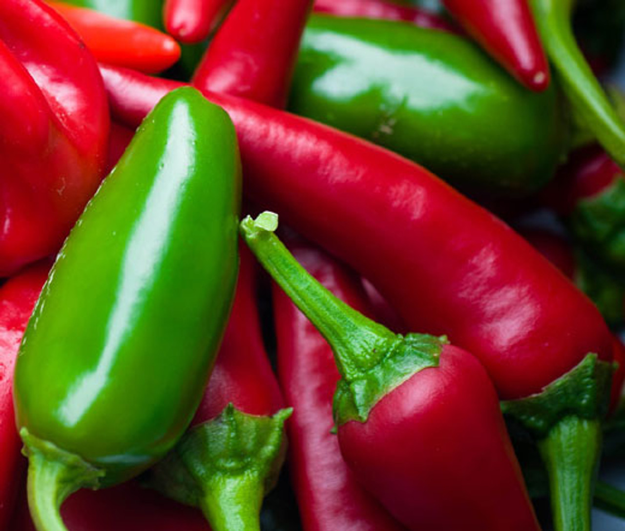 Jalapeno Early Hot Pepper Seeds, Capsicum annuum, Heirloom, Medium-Sized Peppers for Salsas & Pickling, 30 Seeds