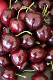 Black Cherry Tree Seeds – Noir de Guben, Rare, Juicy, Self-Fertile, Cold-Hardy Fruit Seeds