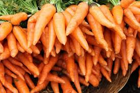 300 Seeds Tendersweet Carrot Daucus carota Heirloom Seeds for Gardening, Fresh Eating & Juicing