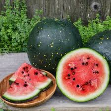 Moon & Stars Watermelon Seeds – Heirloom Citrullus lanatus with Yellow Spots & Red Flesh, Large Juicy Fruits, Unique Garden Variety