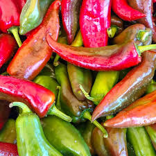Anaheim Pepper Seeds – Capsicum annuum – Mild, Flavorful, High-Yielding for Roasting & Cooking