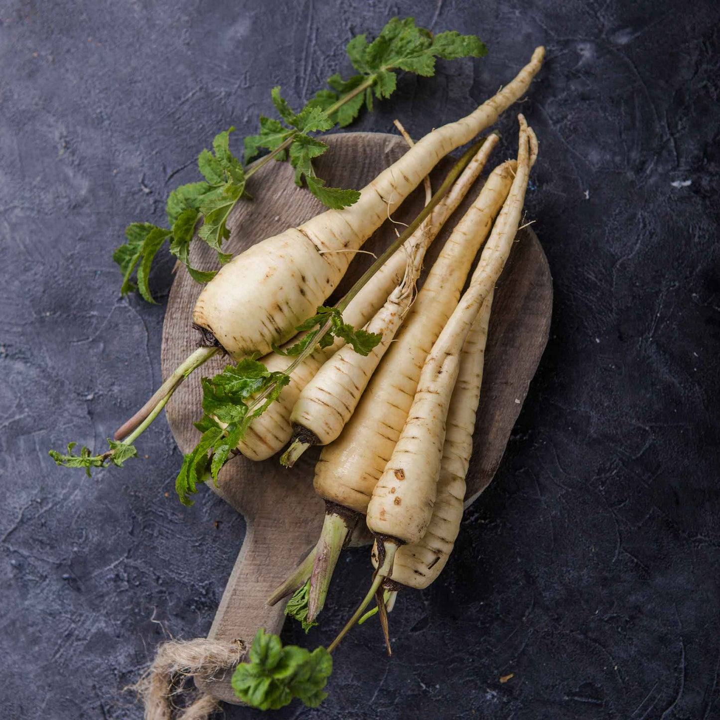Parsnip Seeds 1g Heirloom All American Pastinaca sativa Cold Hardy Root Vegetable