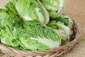 Chinese Cabbage Seeds 150 Pack Matsushima Brassica rapa Pekinensia Heirloom for Gardening & Harvest