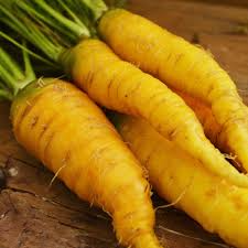 Solar Yellow Carrot Seeds – Heirloom Daucus carota for Vibrant Golden Roots, Sweet Flavor, Nutritious, 200 Seeds