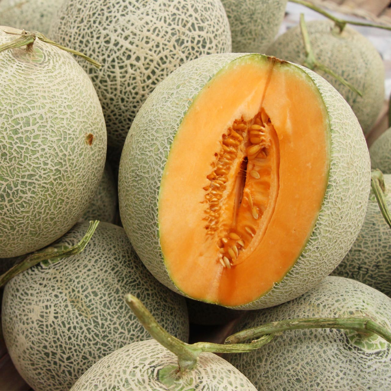 Hales Best Jumbo Cantaloupe Seeds, Cucumis melo, Sweet Juicy Melon, Large Fruit, Fruit Seeds for Garden Planting