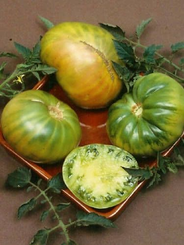 Aunt Ruby’s German Green Tomato Seeds – Heirloom Beefsteak, Large Lime-Green Fruits, Sweet & Tangy, High-Yielding, Solanum lycopersicum
