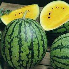 Yellow Petite Watermelon Seeds – Small Vining Fruit, Sweet Yellow Flesh, Citrullus lanatus, Perfect for Containers