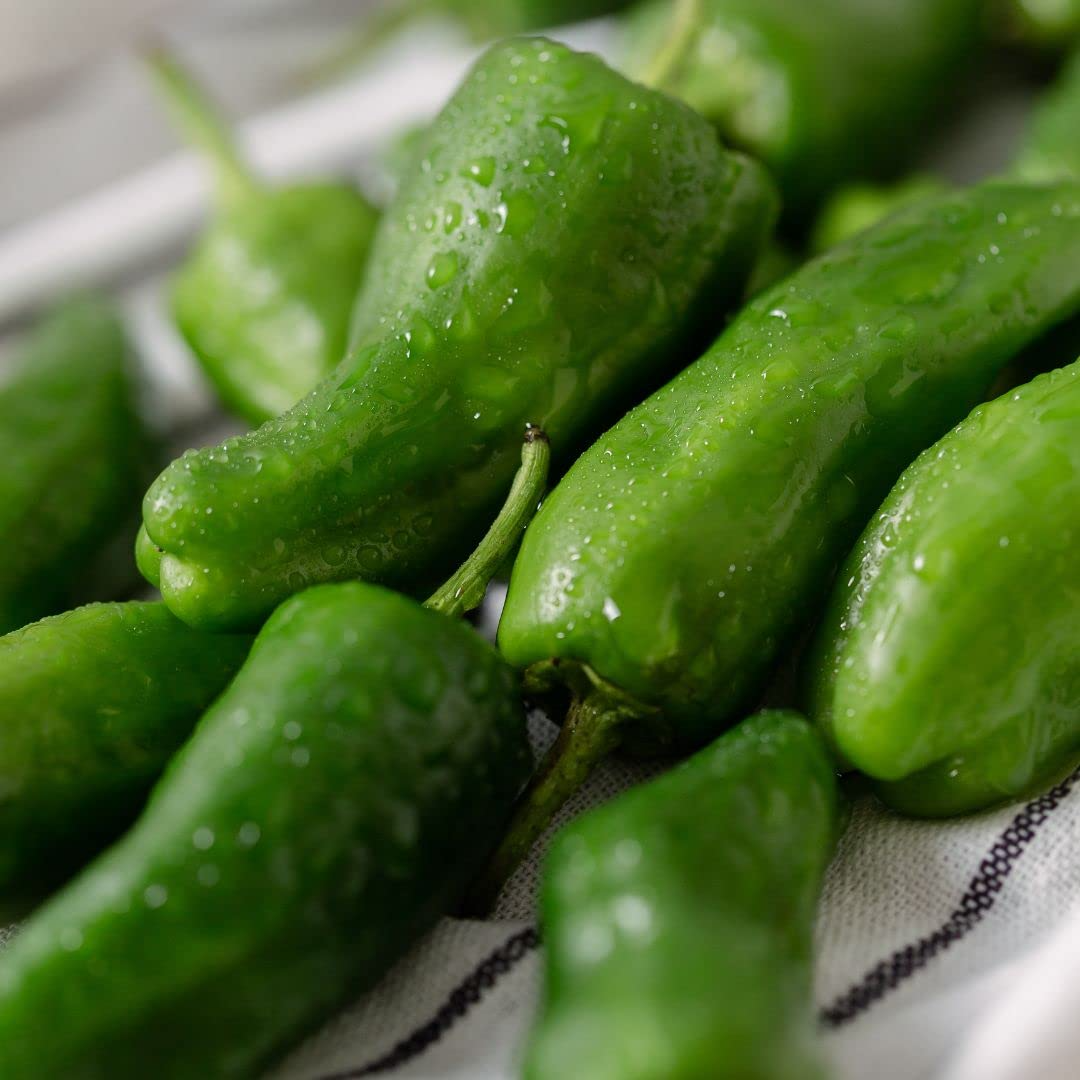 Padron Pepper Seeds - Heirloom, Non-GMO, Capsicum Annuum, Spanish Tapas Pepper, Mild with Hint of Heat, 85 Days to Maturity