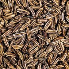 Caraway Seeds 1g | Carum carvi Heirloom Non-GMO Culinary Herb | Aromatic & Versatile Spice & Herb