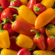 Santa Fe Grande Pepper Seeds – Heirloom, Mildly Spicy, High-Yielding, Capsicum annuum, Great for Salsas & Pickling
