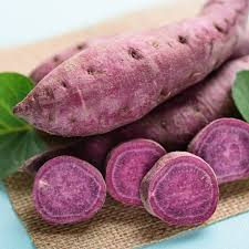 Organic All Purple Sweet Potato Tubers 5lb Japanese Variety, Fast-Growing, Hardy, Nutritious, Ipomoea batatas