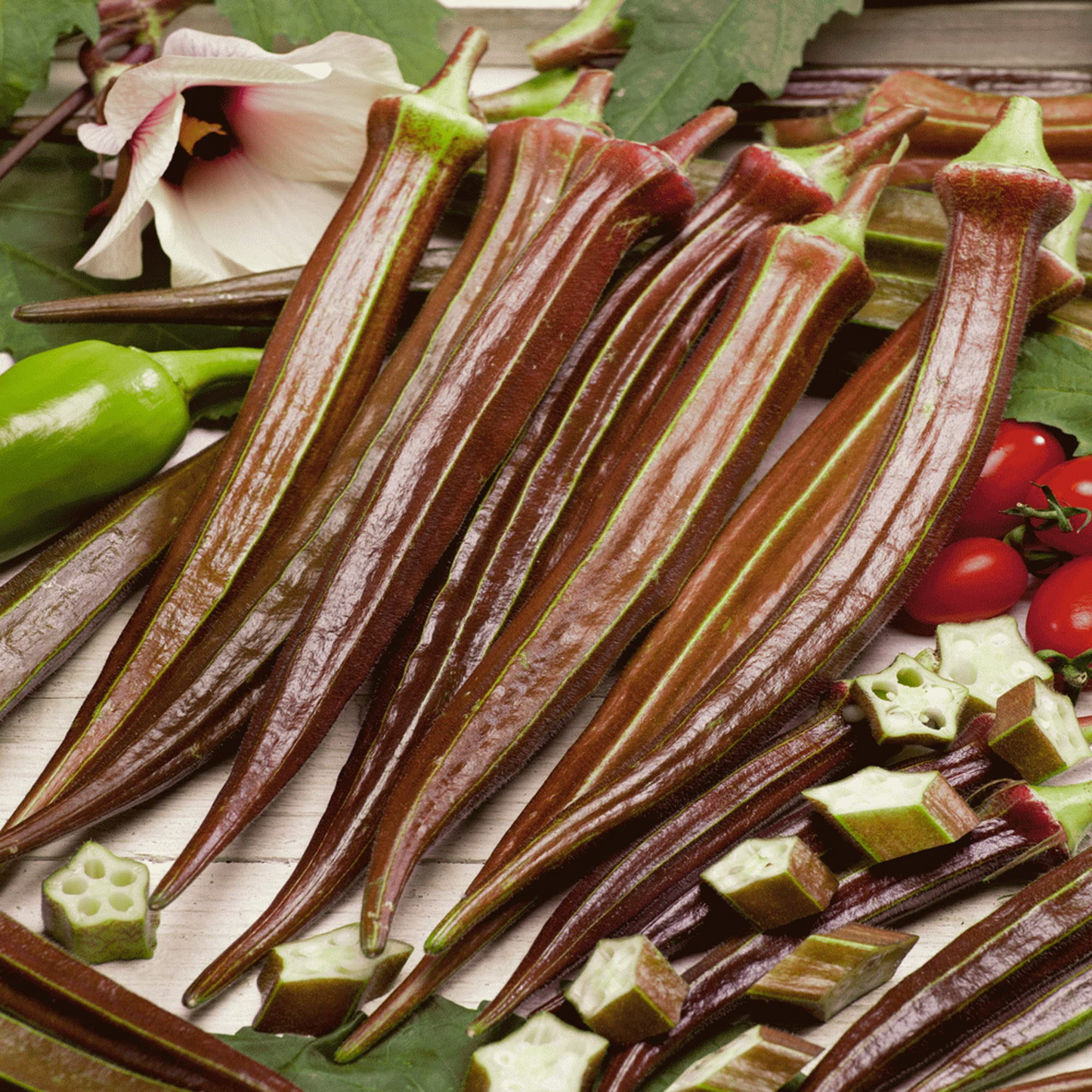 Okra Seeds Red Burgundy Heirloom Variety for High Yield, Tender Vibrant Pods, Heat Tolerant, Garden & Container Planting