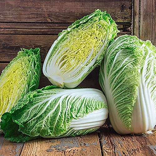 Chinese Heading Cabbage Seeds – Heirloom Michihli, Crisp Green Heads, Fast Growing, Cold Hardy, Garden & Container Planting