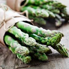 25 Green Atlas Asparagus Bare Root Plants, 2-Year Crowns, Asparagus officinalis, Hardy Perennial Vegetable Garden Starter