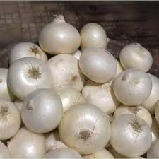 Onion Blanco Duro Seeds – 250mg White Bulb Variety for Planting, Crisp Texture, High Yield, Allium cepa