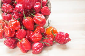 25 Habanero Pepper Seeds – Capsicum chinense – Extra-Hot Heirloom Chili, Non-GMO, 100,000–350,000 Scoville