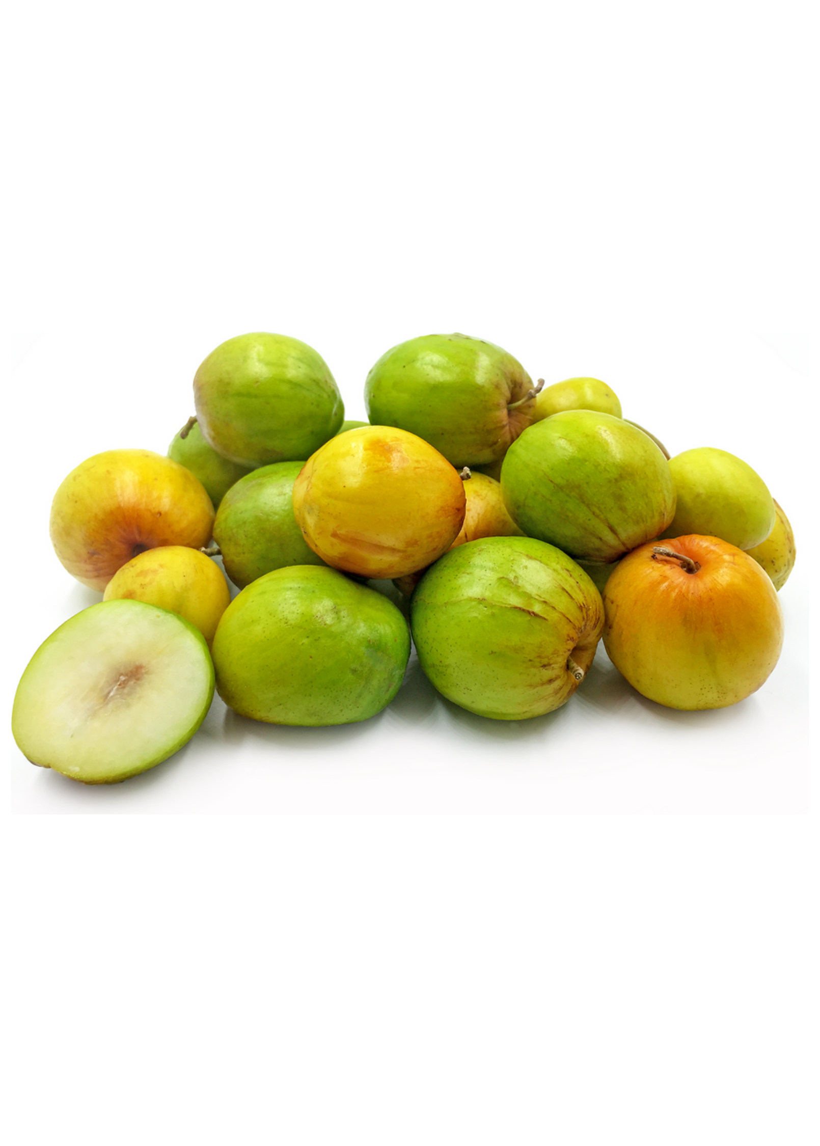 Indian Jujube Tree - Ziziphus mauritiana, Fruit-bearing, Green to Red, Hardy, Drought-tolerant, Edible Fruit, South Asia