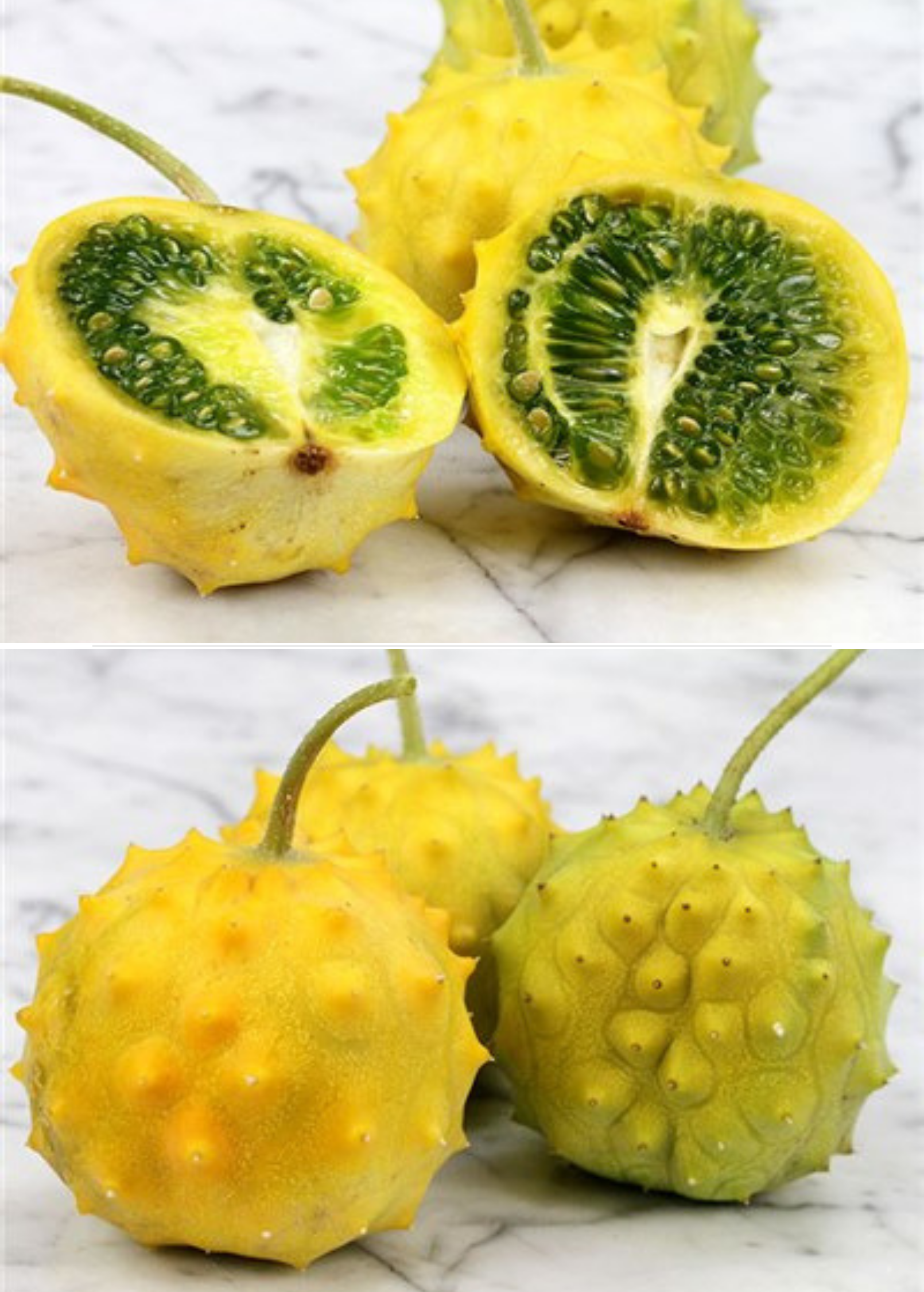 Yellow Kiwano Fruit Plant, Cucumis metuliferus, Round, Juicy, Unique Melon for Garden or Container Growth