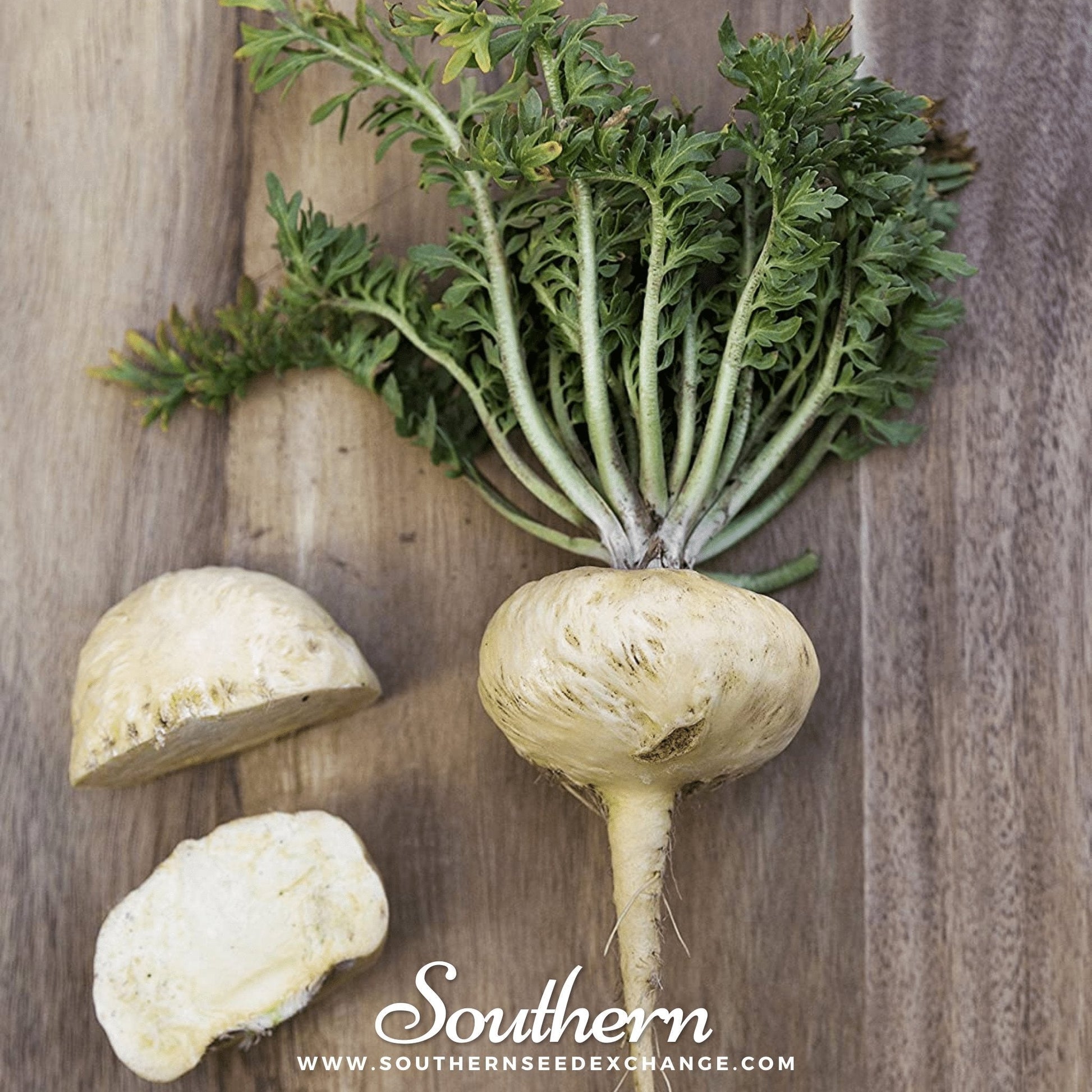 Maca Seeds - Non-GMO Peruvian Ginseng (Lepidium meyenii) for Gardening, Nutrition & Herbal Use
