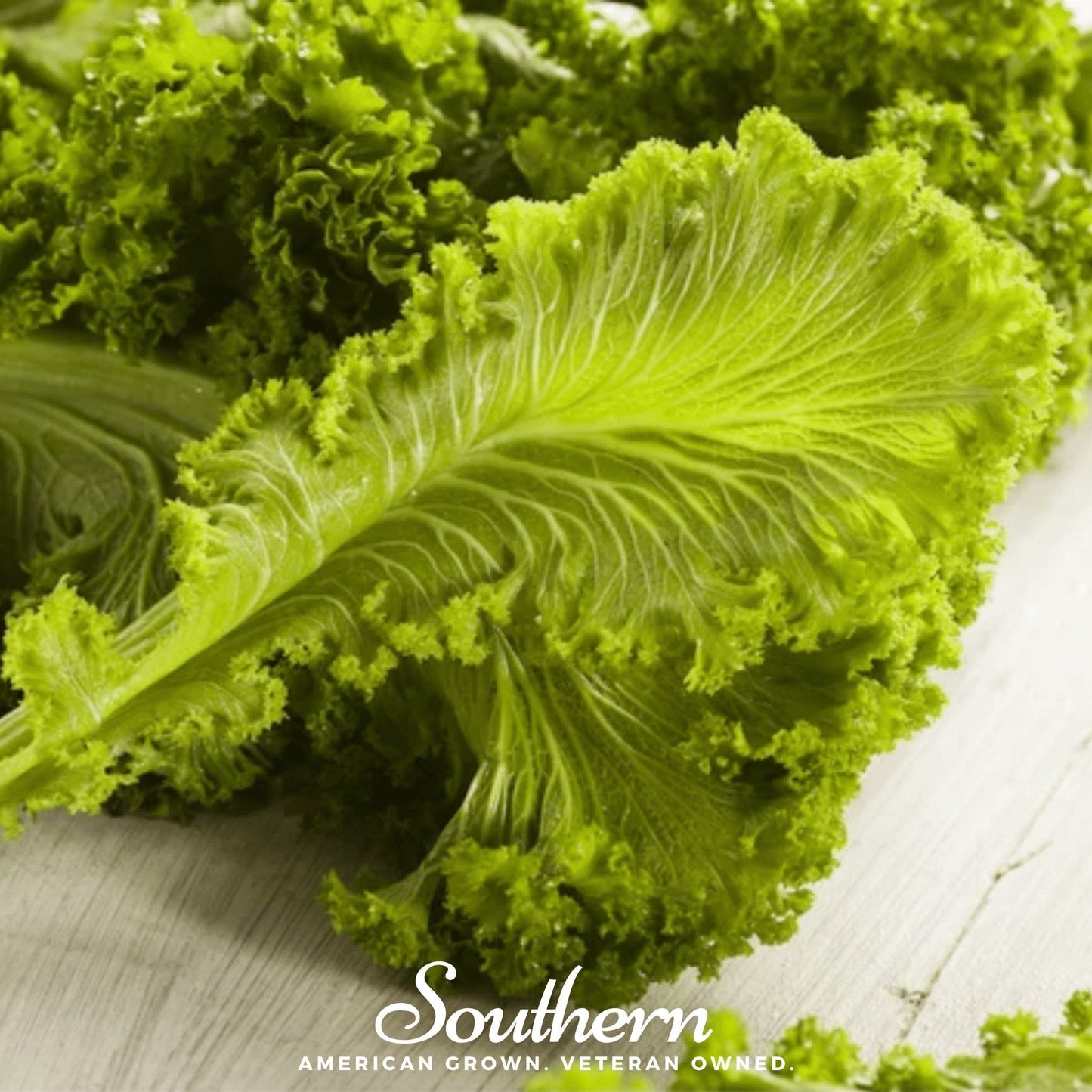 Southern Giant Mustard Seeds – Heirloom, All-American Selections Winner, 250 Non-GMO Brassica juncea Greens
