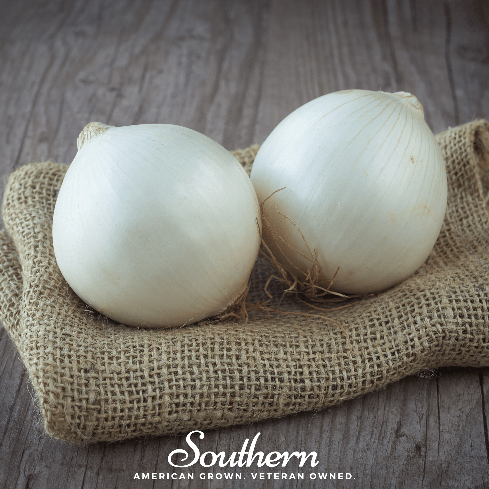 Spanish White Sweet Onion Seeds – Heirloom, Non-GMO, Extra-Large Globe Bulbs, Mild & Sweet Flavor, Perfect for Slicing & Storage