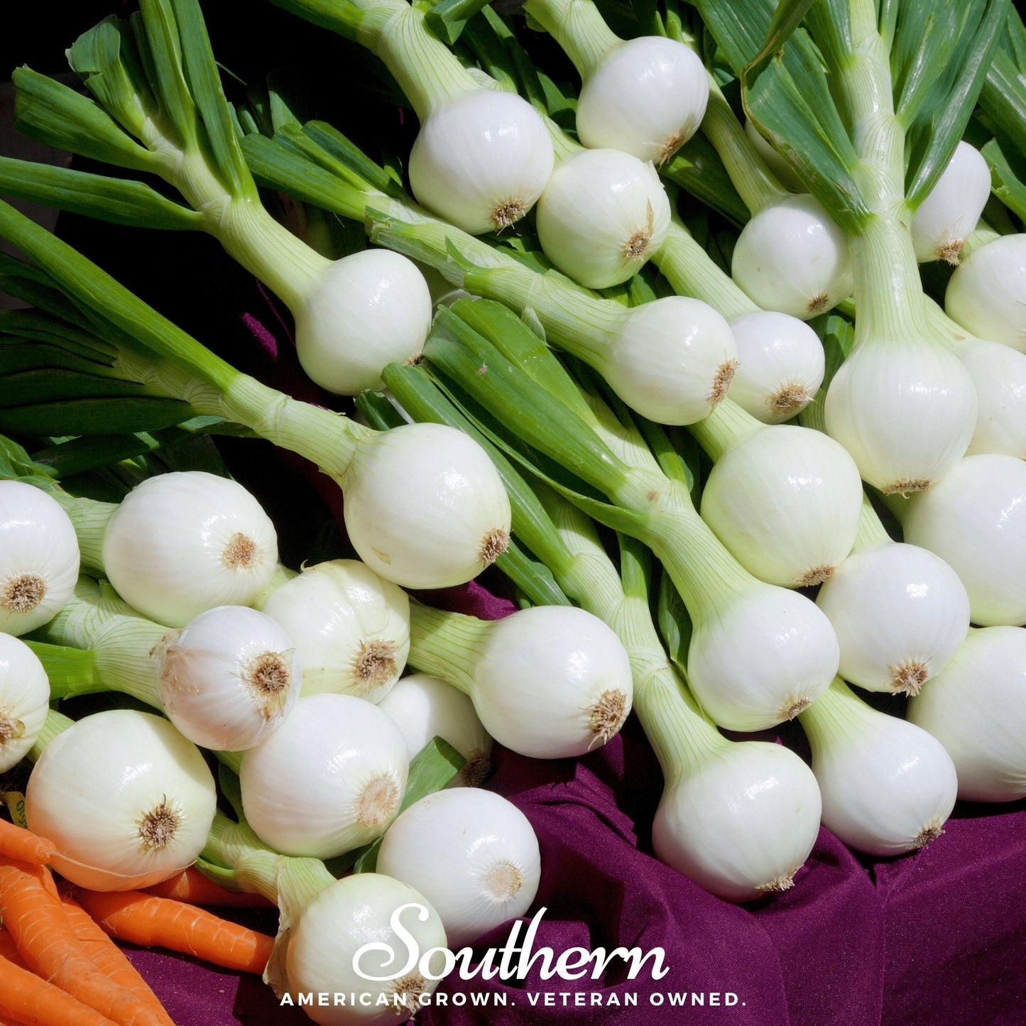 Walla Walla Onion Seeds – Heirloom Sweet, Mild, Juicy, Large Globe Bulbs, Allium cepa, 200 Seeds