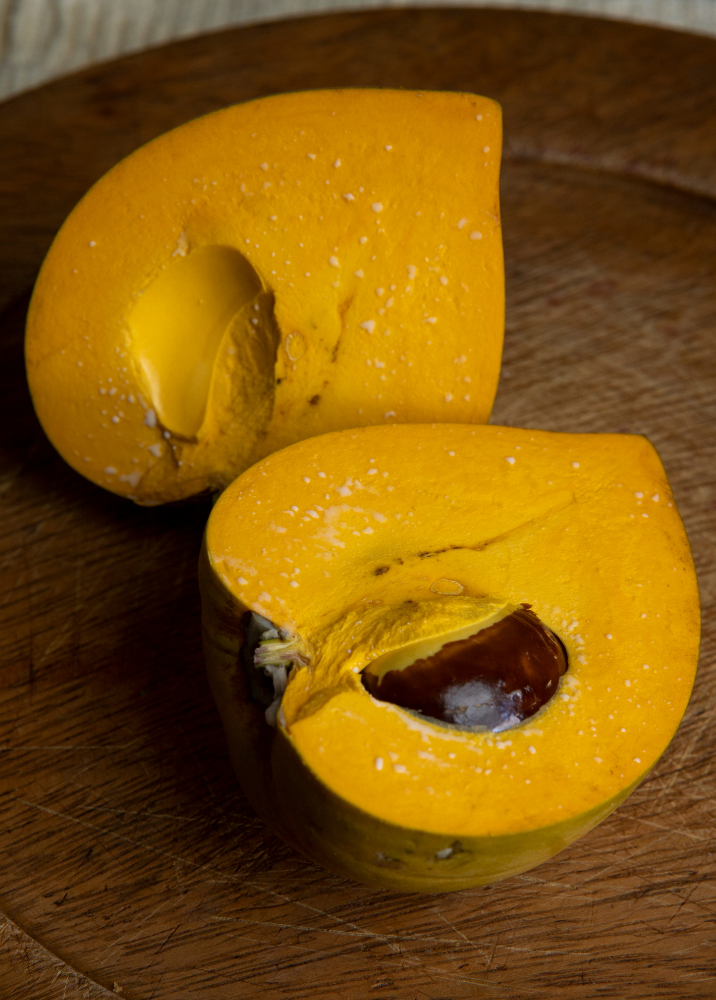 Canistel 'Oro' Fruit Tree - Large Golden Eggfruit Pouteria campechiana Tropical Evergreen Plant
