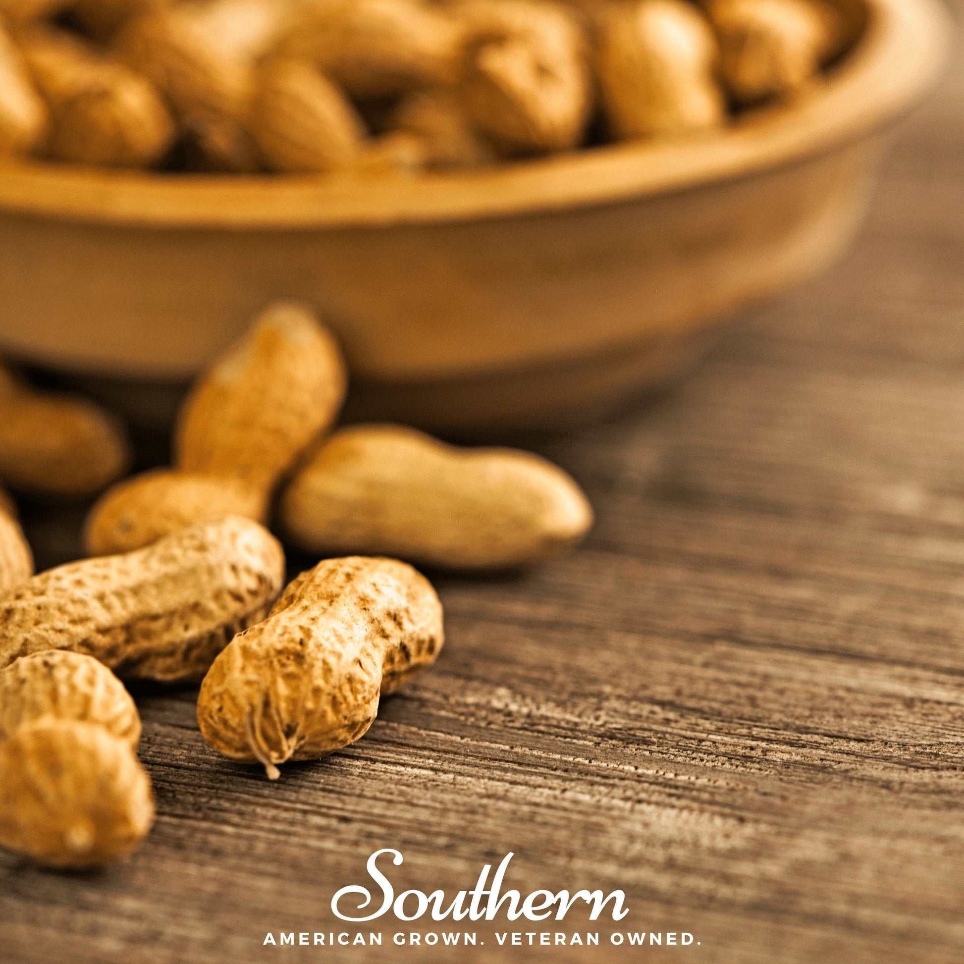 Virginia Jumbo Peanut Seeds – Heirloom Open Pollinated Non-GMO, Large Shells, Classic Flavor, Arachis hypogaea, 10 Seeds