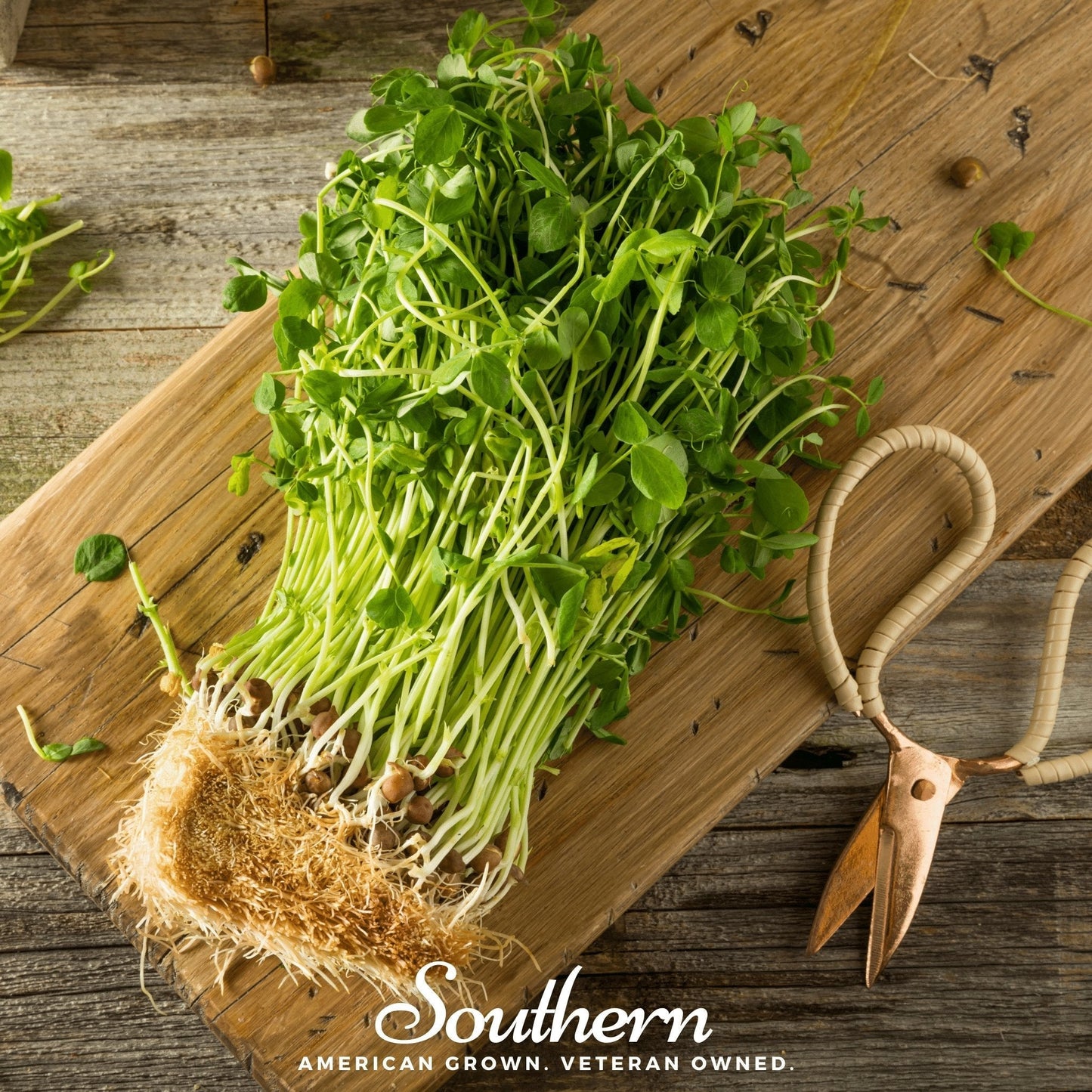 Organic Field Pea Shoots Seeds – Non-GMO, Open Pollinated, Pisum sativum, Edible Leaves, Fast-Growing, 100 Seeds