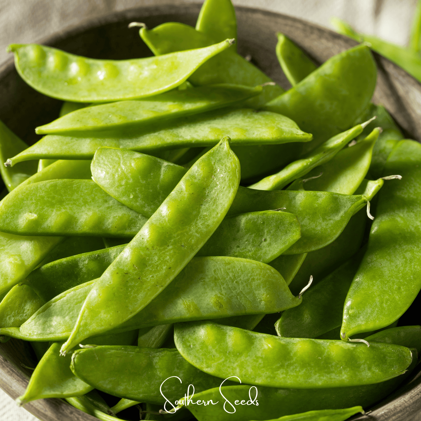 Oregon Sugar Pod II Snow Peas Seeds – Heirloom, Edible Pods, Cool-Season, Non-GMO, 25 Seeds