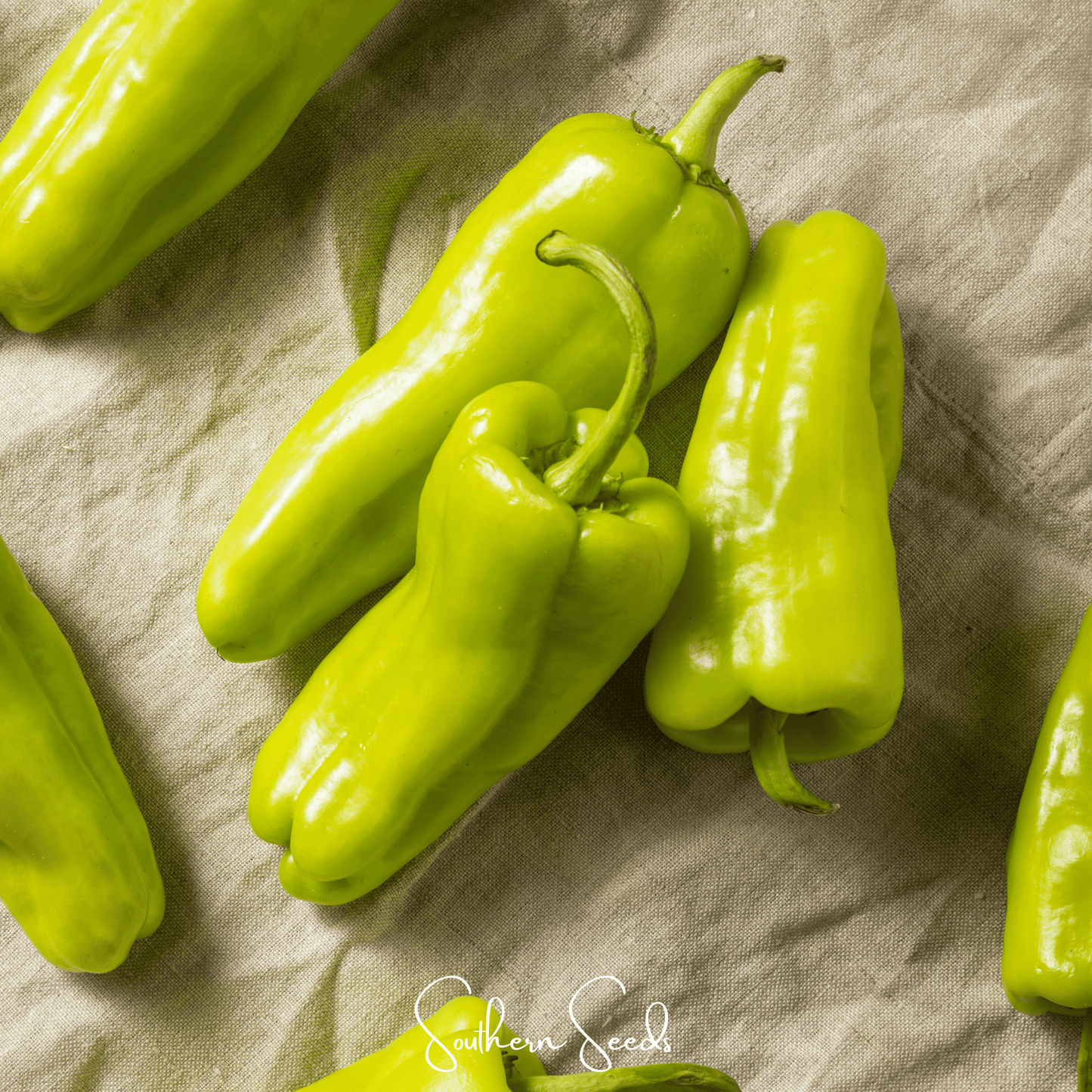 Cubanelle Sweet Pepper Seeds – Heirloom Capsicum annuum for Frying, Roasting & Stuffing, 25 Seeds