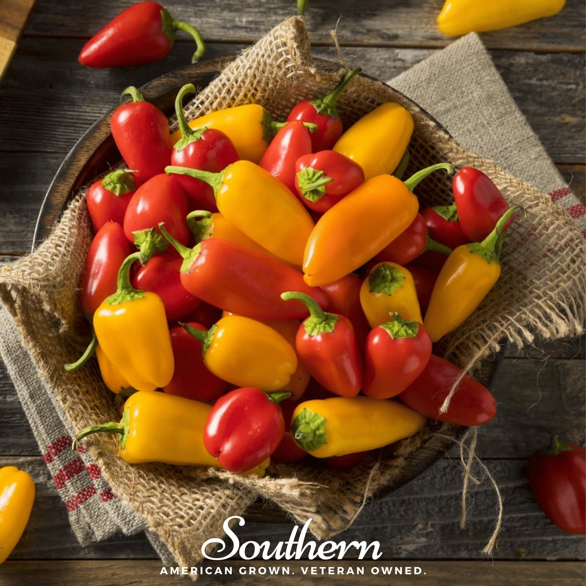 Lunchbox Sweet Pepper Seeds – Miniature Red, Yellow & Orange Bell Peppers for Snacking, Container Gardening, Heirloom, Non-GMO, 25 Seeds