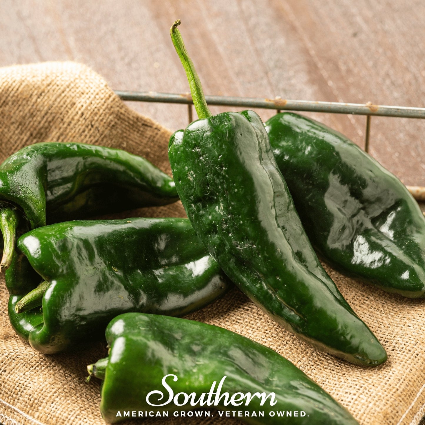 Poblano Ancho Grande Pepper Seeds – Heirloom, Capsicum annuum, Large Heart-Shaped, Mild Heat, For Mexican Cuisine, 25 Seeds