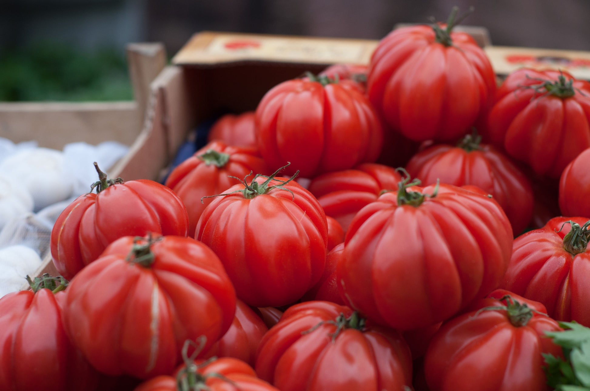 Beefsteak Tomato Live Plants - 2 Pack, 6-10 Inches Tall, 60+ Days Old