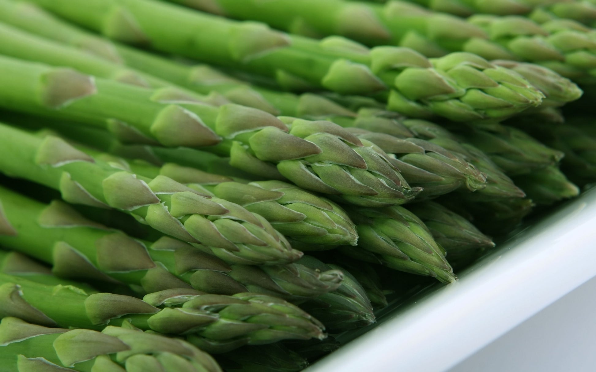 Millennium Asparagus 5 Bare Root Crowns – 2 Year Old Asparagus officinalis Plants