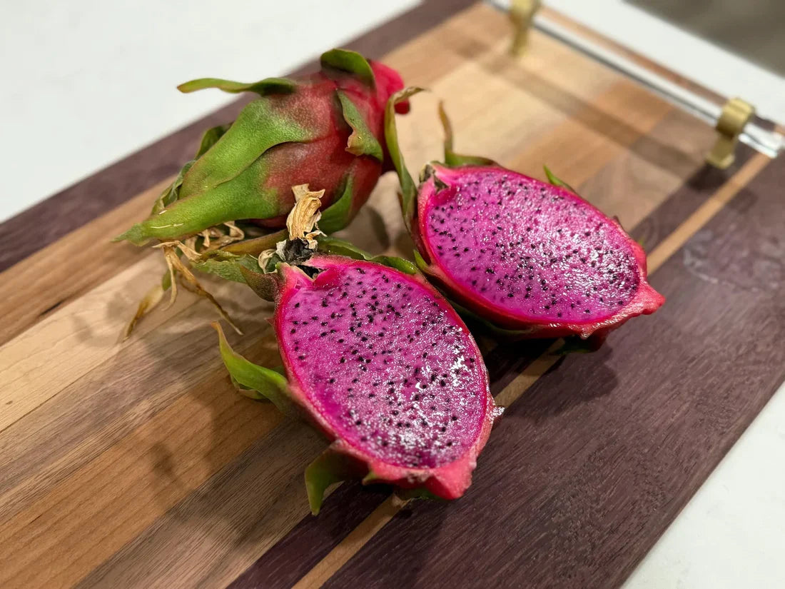Red Dragon Fruit Cuttings 9–14" | Physical Graffiti Hylocereus Hybrid | Edible, Fast Growing Cactus