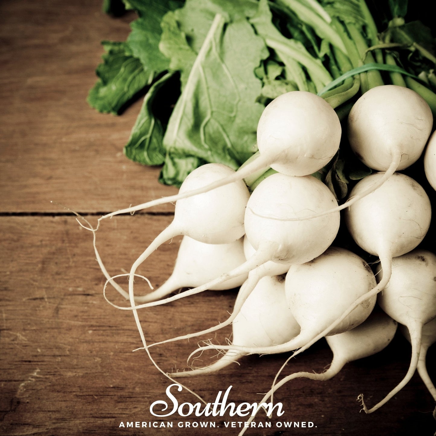 Hailstone Radish Seeds – 100 Non-GMO Heirloom Raphanus sativus for Spring & Fall Planting