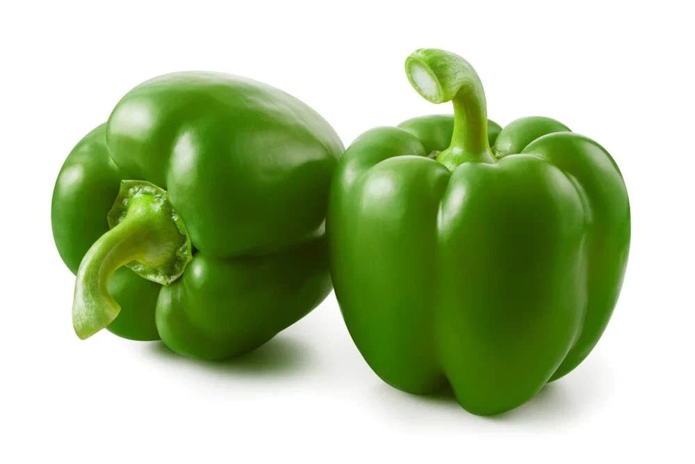 Large Green Pepper Seeds - 100+ Capsicum annuum for Gardening & Cooking - Versatile, High-Yield, Easy to Grow