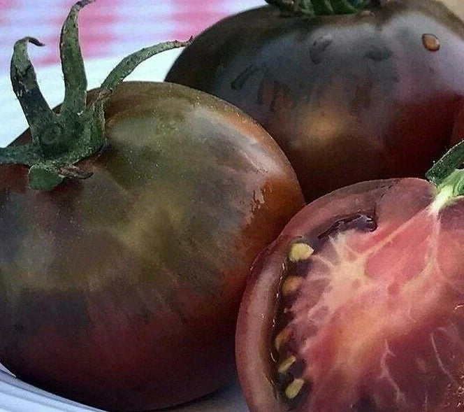 Black Prince Tomato Seeds 50+ Count | Indeterminate Heirloom Vegetable Seeds